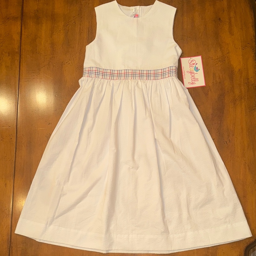 NWT Stellybelly Americana Seersucker Dress - 8